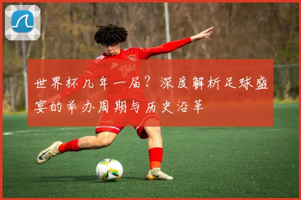世界杯几年一届？深度解析足球盛宴的举办周期与历史沿革