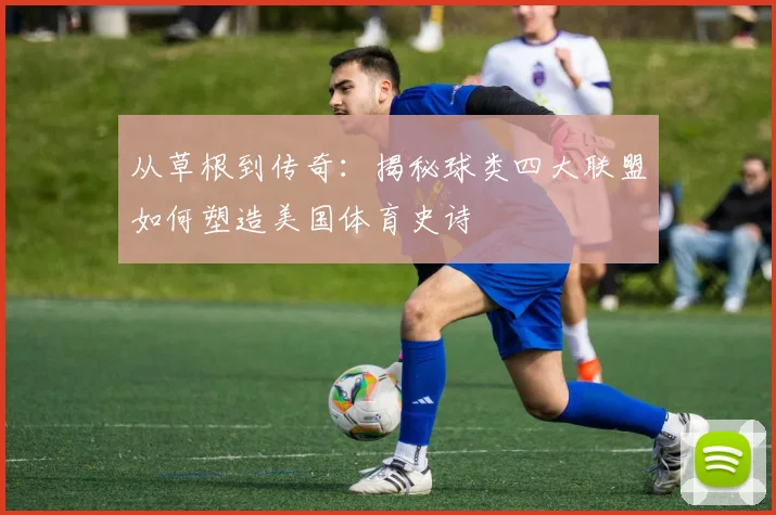 从草根到传奇：揭秘球类四大联盟如何塑造美国体育史诗